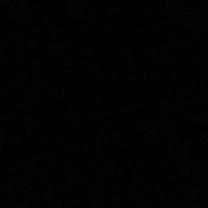 Meet your Posher, Genevieve